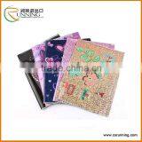 Classic Plastic PVC Film Book Cover With Customized A4 With Any Logo Printing