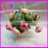 Beautiful Color Flowerpot Stand