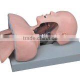 Trachea Intubation Training Model/teaching-use Model/realia/manikin thumbnail-1