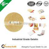 Buy Industrial Technical Gelatin thumbnail-5