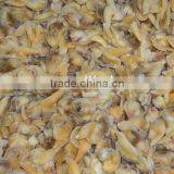 Frozen Fresh Clam Meat Sea Shell