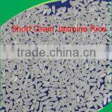 SHORT GRAIN JASMINE RICE FROM VIETNAM GRADE A+ thumbnail-1