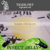 New Products Assorted Pudding Cup Jelly thumbnail-4