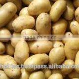 FRESH POTATO