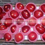 HUANIU APPLE thumbnail-1