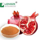 Pomegranate Powder Extract with Eliagic Acid 40%/pomegranate fruit powder