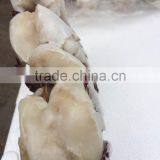 New Frozen Blue Swimming Crab thumbnail-4