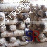 Hot Sale From China Professional Manufacturer Shiitake Mushroom Log thumbnail-5