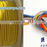 Dyn Electric Rope