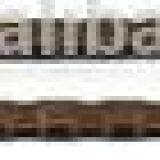 Explorer,Ranger, Aerostar,4.0-x(244)ohv v6 Chain Sprocket 9-4172S thumbnail-2