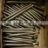 High Quality Common Nails / Iron Wire Nails From Anping County thumbnail-1