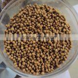 Single Screw Pet Food Machine thumbnail-2