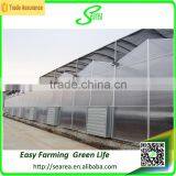 Commercial Greenhouse for Agriculture Flower Grow thumbnail-4