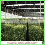 Hot Sale Used Steel Truss Structure Multi-span Greenhouses From China Manufacturer thumbnail-4