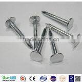 Common Nails for Construction Usage Iron Nails thumbnail-2