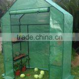 UK Walkin Greenhouse thumbnail-1