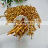 Freeze Dried Meals Sold on thumbnail-2