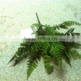 Home and Outdoor Garden Edging Christmas Decoration 60cm or 24inches Height Artificial Small Grass for Green Wall E04 1008 thumbnail-1