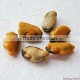 Seafood Frozen Cooked Mussel Meat thumbnail-1