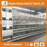 Heracles Automatic Chicken Poultry Farm Layer Cages for Sale in Zimbabwe thumbnail-5