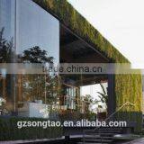 Guangzhou Factory Price Plastic Plant Green Wall for Outdoor Decorating thumbnail-1