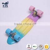 HSJ222 China Suppliers Wholesale Fish Style Skateboard thumbnail-3