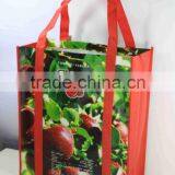 Non Woven Bag/promotion Bag thumbnail-1