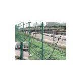 PVC Barbed Wire thumbnail-1