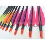 carbon fiber arrow, carbon completed arrows, toptek high quality carbon arrow