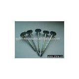 Roofing Nail thumbnail-1