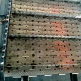 Stainless steel chain plate production of mung bean conveyor line