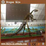 2016 Museum Quality Realistic Plastic Dinosaur Fossils for Sale