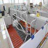 High Quality Low Price Pig Farrowing Crates Pig Farm thumbnail-2