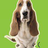 Hot Transfer Paper thumbnail-1