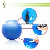 Персонально окрашенный антиразрывный массажный йоговый гимнастический мяч + ручной насос thumbnail-3