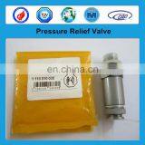 Original Pressure Limiting Valve 1110010024 Safety Valve