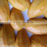Fresh Yellow Mango With High Quality/ Large Quantity/ Best Price