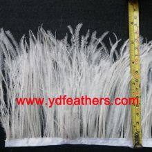 South Africa Ostrich Feather Trimming thumbnail-2