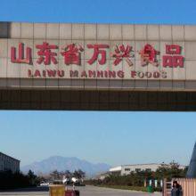 Laiwu Manhing Vegetables Fruits Corporation company overview - view 2 thumbnail