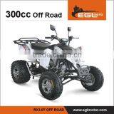 EGL RX3.0T off -road atv with EEC