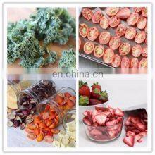 Food Freeze Dryers Sale Mini Freeze Drying Machine thumbnail-5