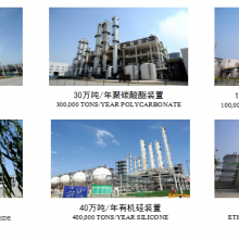 High Quality Special Material Reactor Chinese Famous Brand