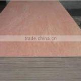 Plywood/Bintangor/Birch Plywood/Agathis Plywood/NZ Pine Plywood thumbnail-2