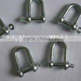 Manufacturer Price Galvanized European Type Dee Drop Forged D Shackle 4-25mm in China Rigging Hardware thumbnail-3