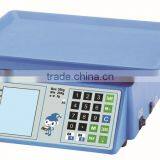 Weighing Machine Low Profile Floor Scales thumbnail-5