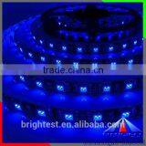 Outdoor DC12v Smd 5050 9.6w/m Led Strip Light 120leds IP65 With CE ROHS Kitchen Lamp!