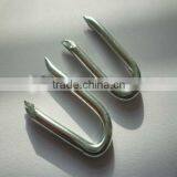 Barbed U-shape Nails/Square Bottom U Shaped Nail (ISO9001) Quality Choice thumbnail-1