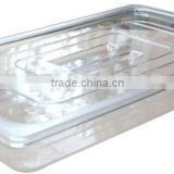 Transparent Plastic food pans