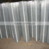 Galvanized Welded Wire Mesh