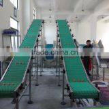 Plastic Belt Lifting Conveyor by Customized thumbnail-1